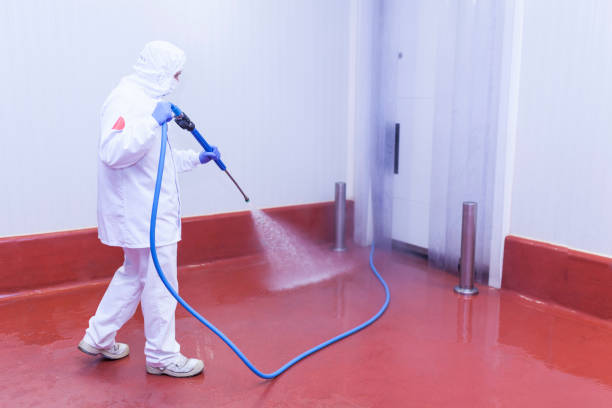  Bellingham, WA Pressure Washing Pros